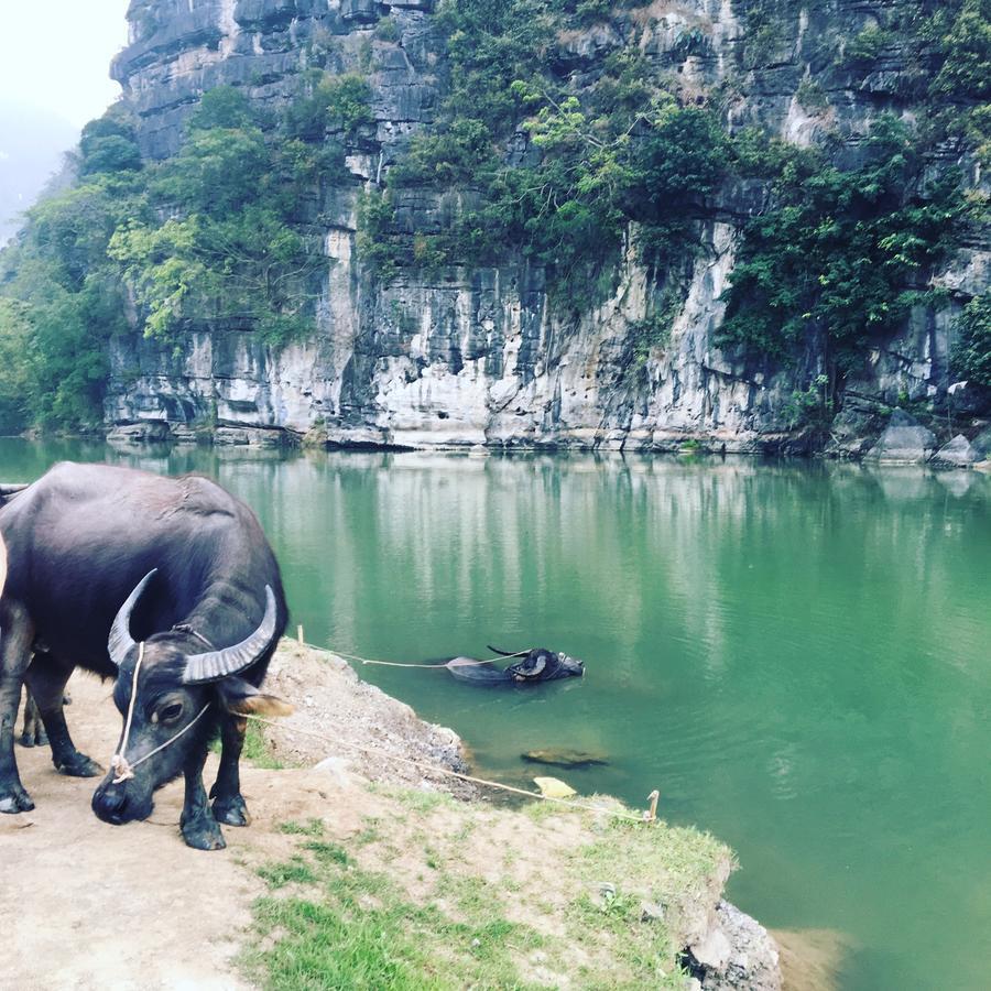Mai'S Homestay Trang An Ninh Binh Exterior photo