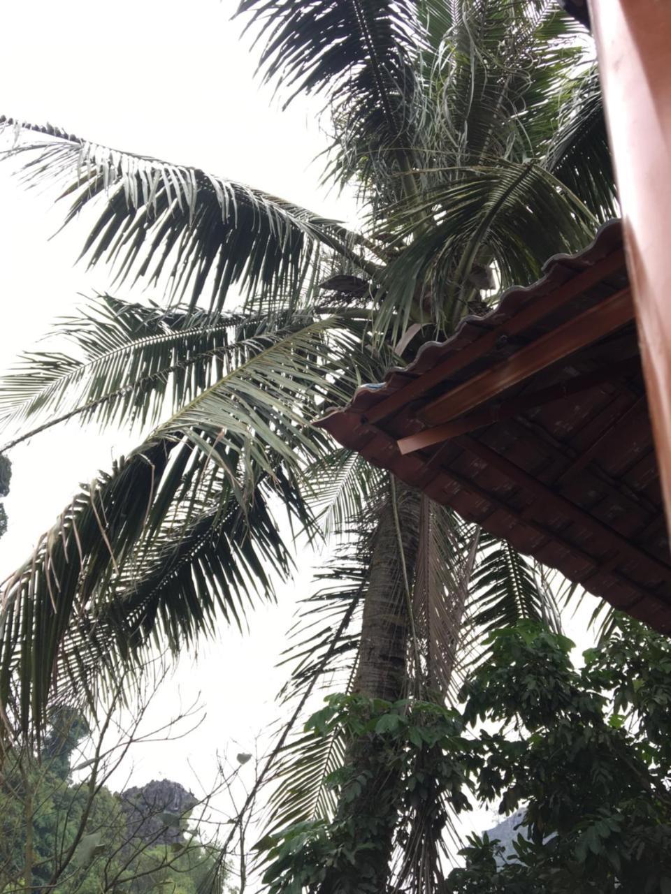 Mai'S Homestay Trang An Ninh Binh Exterior photo